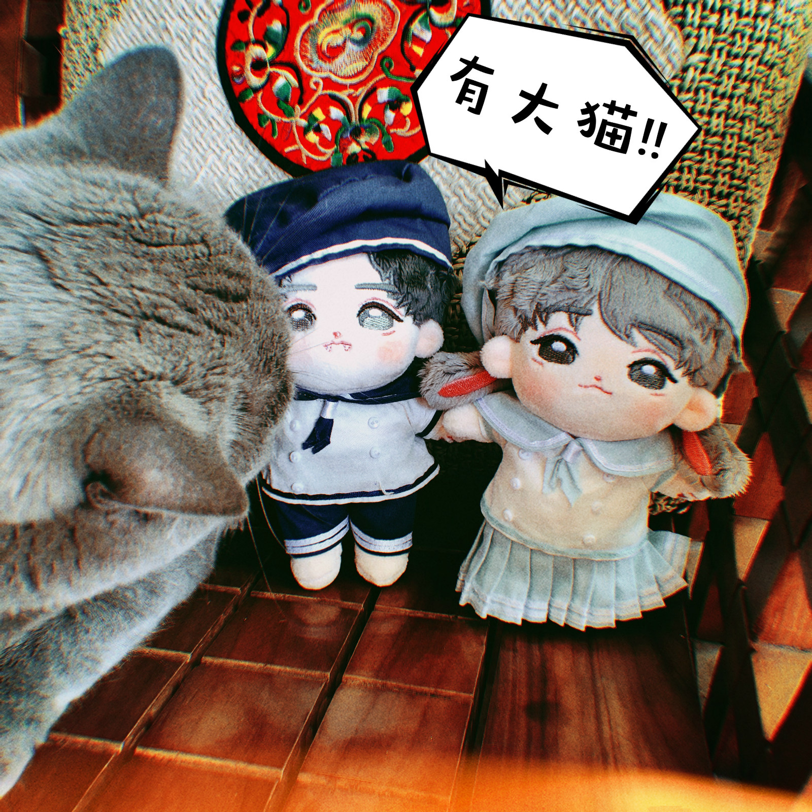 狼王兔友躲猫猫