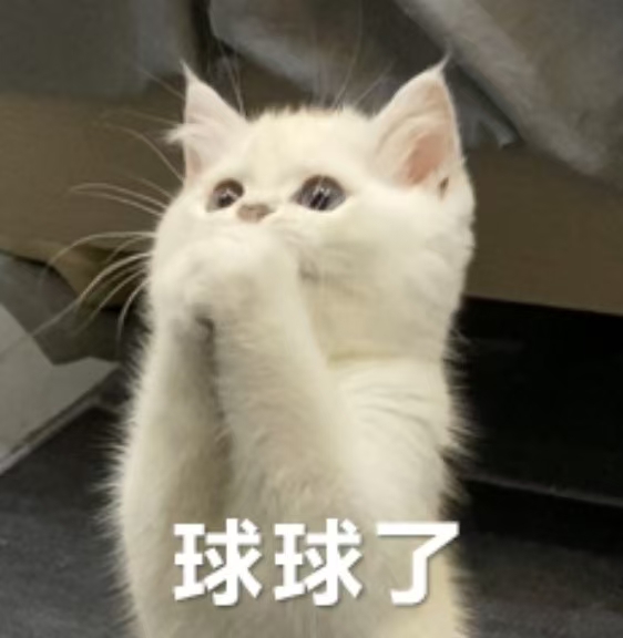 235fd1d98b14e5e883ac0ba29007d84b.jpg