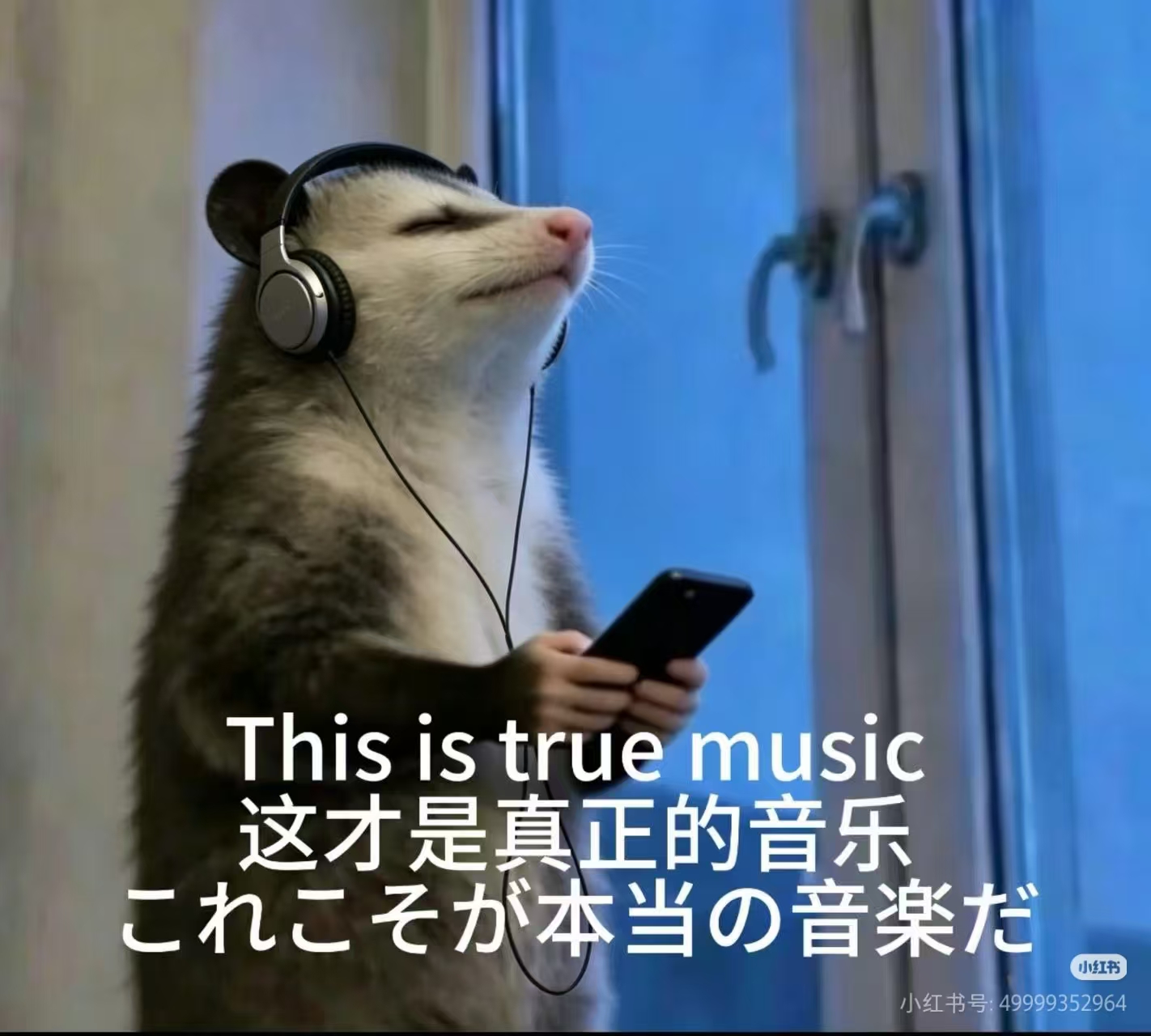 4c1c803a444c57738b0ae4fefadbb75f.jpg