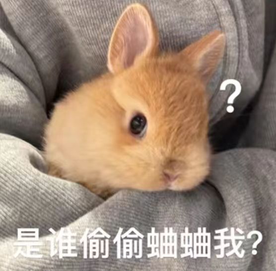 a459644a6c5e6d3c1144a82e6efb0eac.jpg