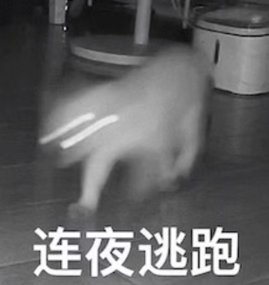 f628e6d07652f6a9a96527e9f900e85d.jpg