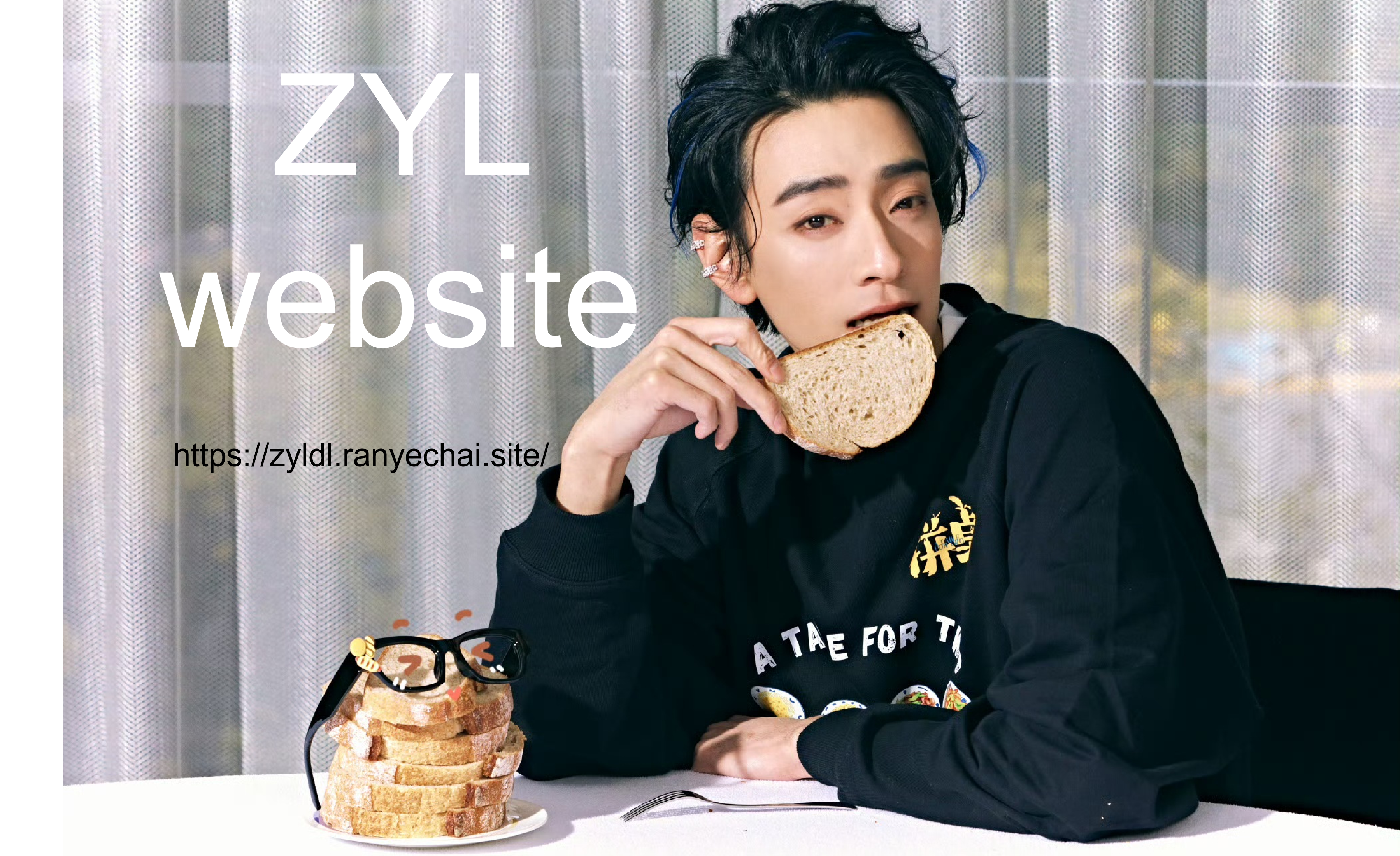 ZYL.png
