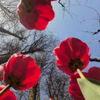 你和春天打照面了么？