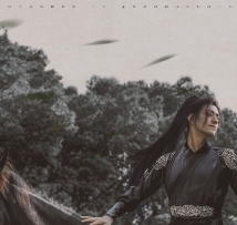 【修图】系马高楼垂柳边（郑云龙）