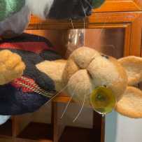 云云羊毛毡系列2