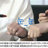 【在线+网盘】双云NARS直播源文件-TB直播20200525