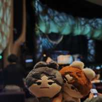 看魅影的小团子