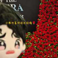 带小弗到处看剧